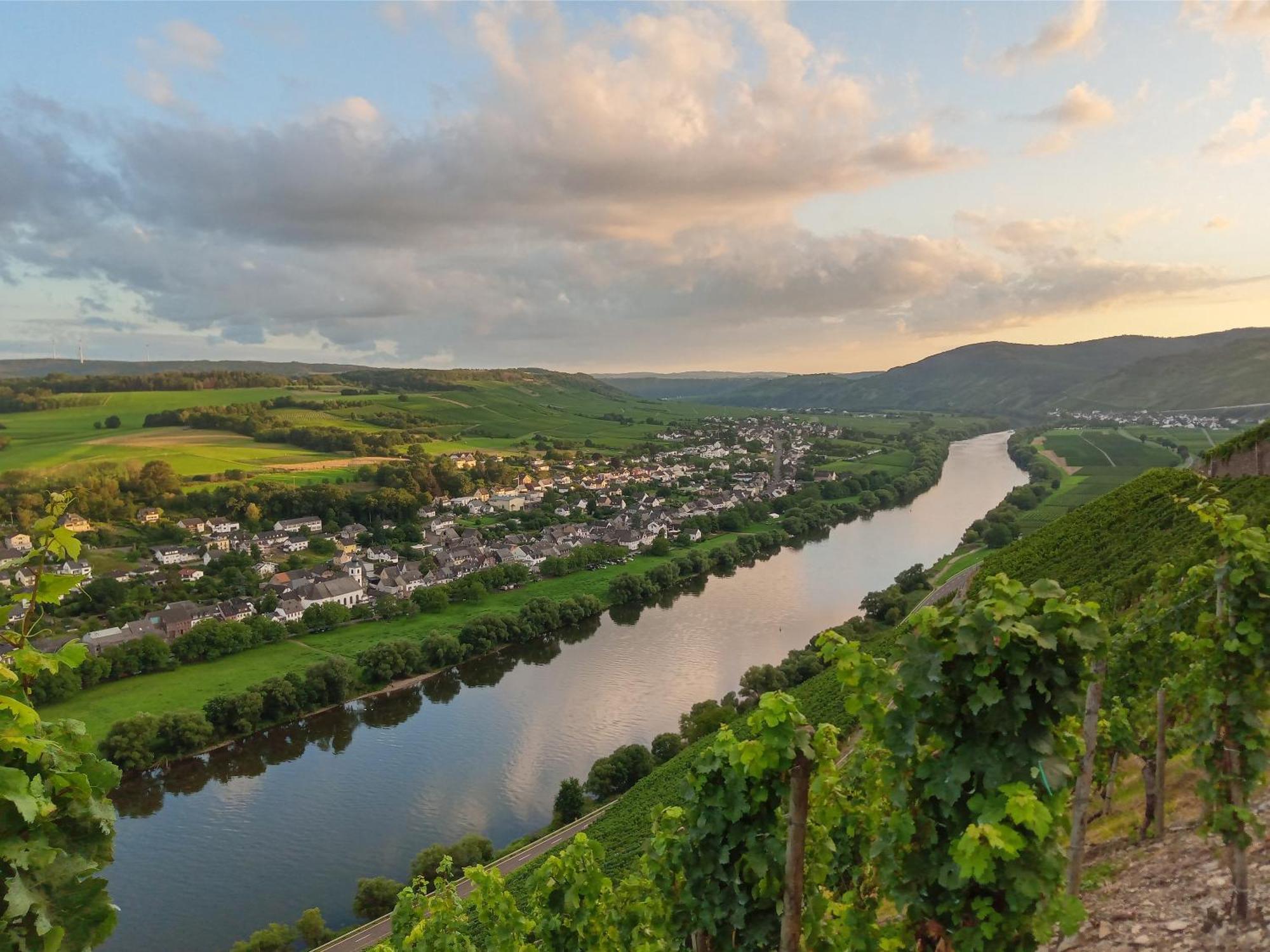 Holiday home Rote Terlinden Lieser