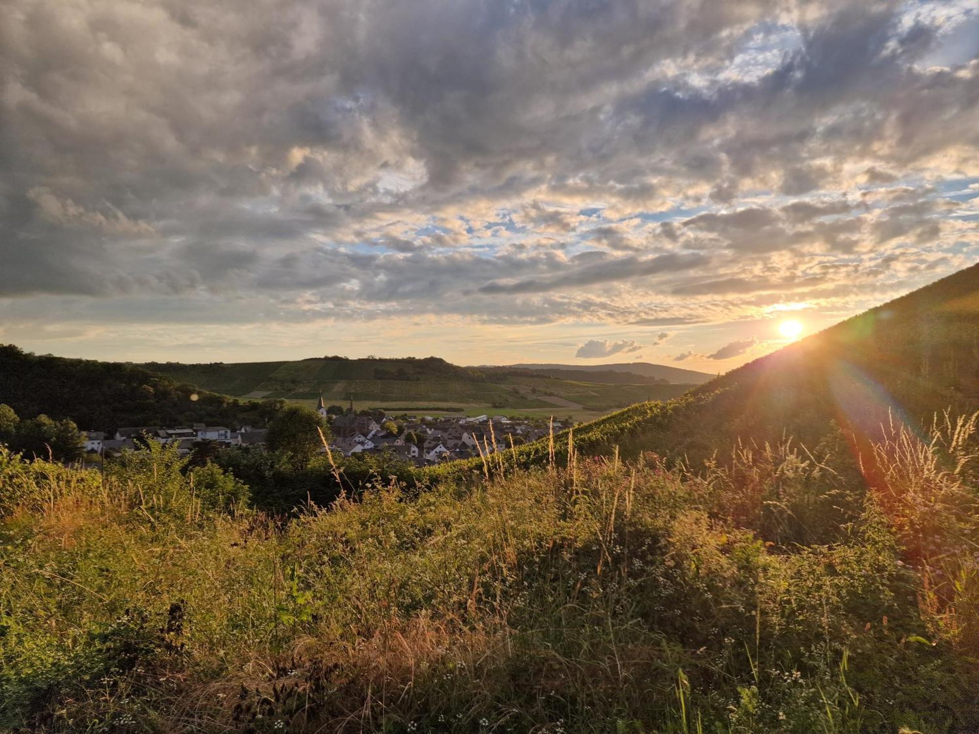 Rote Terlinden * Lieser