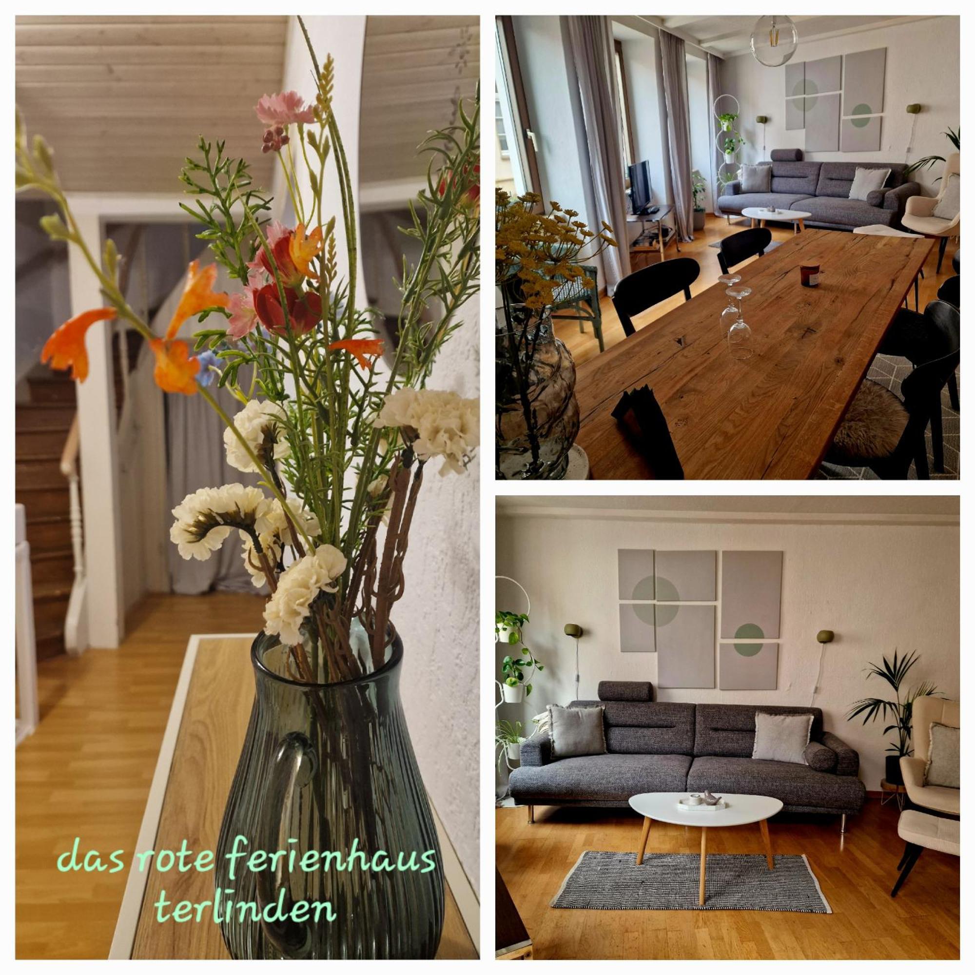 Rote Terlinden * Lieser